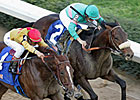 Terrific Trio Tops Californian Lineup