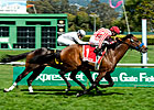 Tigah Pounces for San Francisco Mile Triumph Tigah Pounces for San Francisco Mile Triumph