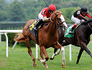 Tiger Bourbon Eyes With Anticipation Stakes Tiger Bourbon Eyes With Anticipation Stakes