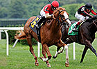 Tiger Bourbon Eyes With Anticipation Stakes Tiger Bourbon Eyes With Anticipation Stakes