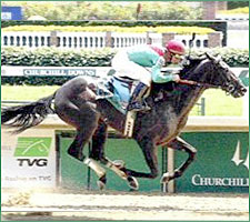 Tiger Hunt to Debut in Northern Spur; Derby Still Under Consideration Tiger Hunt to Debut in Northern Spur; Derby Still Under Consideration