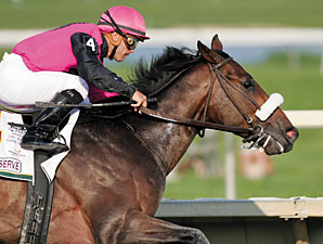 Regal Ransom Wins, Timber Reserve Euthanized Regal Ransom Wins, Timber Reserve Euthanized