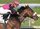 Regal Ransom Wins, Timber Reserve Euthanized Regal Ransom Wins, Timber Reserve Euthanized