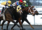 Prairie Bayou: Timeless Fashion Noses 'Victor Prairie Bayou: Timeless Fashion Noses 'Victor