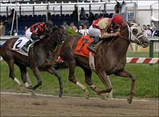 Nine Fillies to Compete in Azalea Breeders' Cup Nine Fillies to Compete in Azalea Breeders' Cup