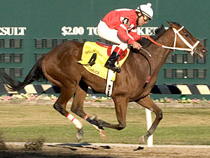 Tin Cup Chalice Beats Pyro in Indy Derby Tin Cup Chalice Beats Pyro in Indy Derby