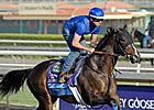 Title Contender Gets His Shot in Ohio Derby Title Contender Gets His Shot in Ohio Derby