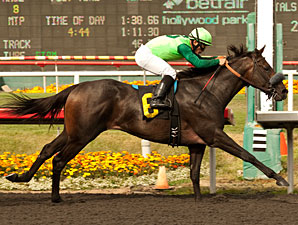 Tiz a Minister Wins Affirmed With Late Burst Tiz a Minister Wins Affirmed With Late Burst