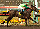 Tiz a Minister Wins Affirmed With Late Burst Tiz a Minister Wins Affirmed With Late Burst