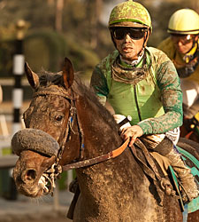 Gomez Boots Home Pair of Cal Breeders Winners Gomez Boots Home Pair of Cal Breeders Winners