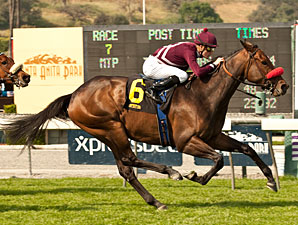 Tiz Flirtatious Flies Home in Santa Ana Tiz Flirtatious Flies Home in Santa Ana