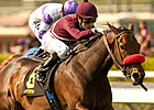 Tiz Flirtatious Has 4 to Beat in John Mabee Tiz Flirtatious Has 4 to Beat in John Mabee