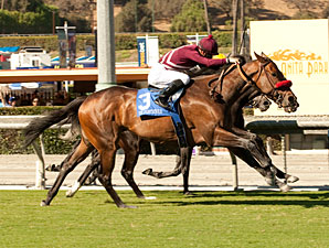 Tiz Flirtatious Wins Rodeo Drive at Wire Tiz Flirtatious Wins Rodeo Drive at Wire