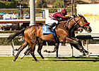 Tiz Flirtatious Wins Rodeo Drive at Wire Tiz Flirtatious Wins Rodeo Drive at Wire