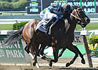 Tiz Miz Sue Upsets Ogden Phipps Handicap Tiz Miz Sue Upsets Ogden Phipps Handicap