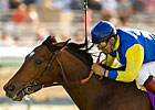 Tiz West Gets 2nd Turf Win in La Puente Tiz West Gets 2nd Turf Win in La Puente