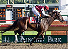 Tizaqueena Rules in Arlington Matron Tizaqueena Rules in Arlington Matron