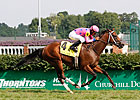 Tizdejavu Notches Explosive Firecracker Win Tizdejavu Notches Explosive Firecracker Win