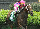 Tizdejavu Poised Again in Jefferson Cup Tizdejavu Poised Again in Jefferson Cup