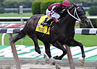 Tizway Makes the Grade in Kelso Handicap