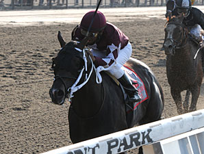 Tizway is Bond's Ticket Back to Whitney Tizway is Bond's Ticket Back to Whitney