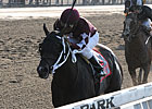 Tizway Becomes Prominent Stallion Hopeful Tizway Becomes Prominent Stallion Hopeful