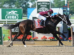Tizway Cruises in Met Mile Tizway Cruises in Met Mile