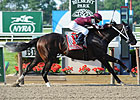 Tizway Cruises in Met Mile