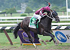 Tizway Decisive Winner in Whitney Handicap Tizway Decisive Winner in Whitney Handicap