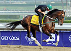 To Honor and Serve Retired to Gainesway To Honor and Serve Retired to Gainesway