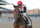Featured Horse Profile: To Honor and Serve Featured Horse Profile: To Honor and Serve