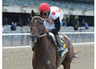 No Pushovers in Strong Metropolitan Handicap No Pushovers in Strong Metropolitan Handicap