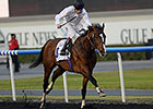 Toast of New York Easy UAE Derby Winner Toast of New York Easy UAE Derby Winner