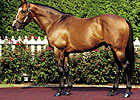 Grade I Winner Toccet's First Winner