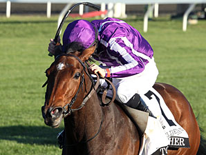 QE II Winner Together Headed Back to Ireland QE II Winner Together Headed Back to Ireland