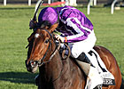 QE II Winner Together Headed Back to Ireland QE II Winner Together Headed Back to Ireland