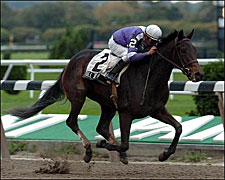 Toll Taker, Flamenco Take Belmont Stakes Toll Taker, Flamenco Take Belmont Stakes