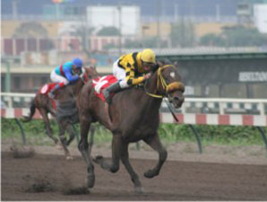 Second Derby Winner for Street Cry Second Derby Winner for Street Cry
