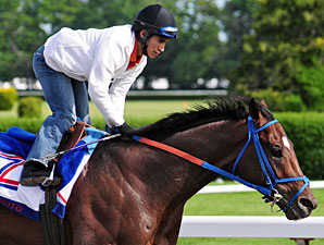Belmont Profile: Tomcito Belmont Profile: Tomcito