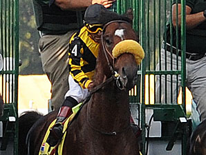 Tomcito Zips in Lexington Workout Tomcito Zips in Lexington Workout
