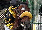 Tomcito Zips in Lexington Workout Tomcito Zips in Lexington Workout