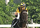 Hong Kong Cup Day: Jockey Tommy Berry Hong Kong Cup Day: Jockey Tommy Berry