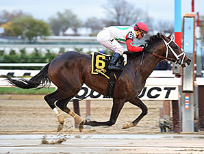 Tommy Macho Pulls Away in Discovery 'Cap