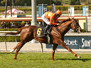 Tom's Tribute Equals Wise Dan's Course Mark Tom's Tribute Equals Wise Dan's Course Mark
