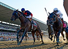 Slideshow: Belmont Stakes 146 Slideshow: Belmont Stakes 146