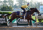 Tonalist Breezes at Belmont Park Tonalist Breezes at Belmont Park