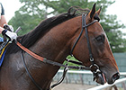 Tonalist Tunes Up for Jim Dandy at Belmont Tonalist Tunes Up for Jim Dandy at Belmont