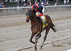Tonalist Keeps Clement's Belmont Dream Alive Tonalist Keeps Clement's Belmont Dream Alive