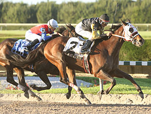 Too Many Toyz Prevails on Florida Million Day Too Many Toyz Prevails on Florida Million Day