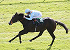 Toormore: Another Good Horse for Arakan Toormore: Another Good Horse for Arakan